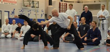 Taikiken hanjo hans