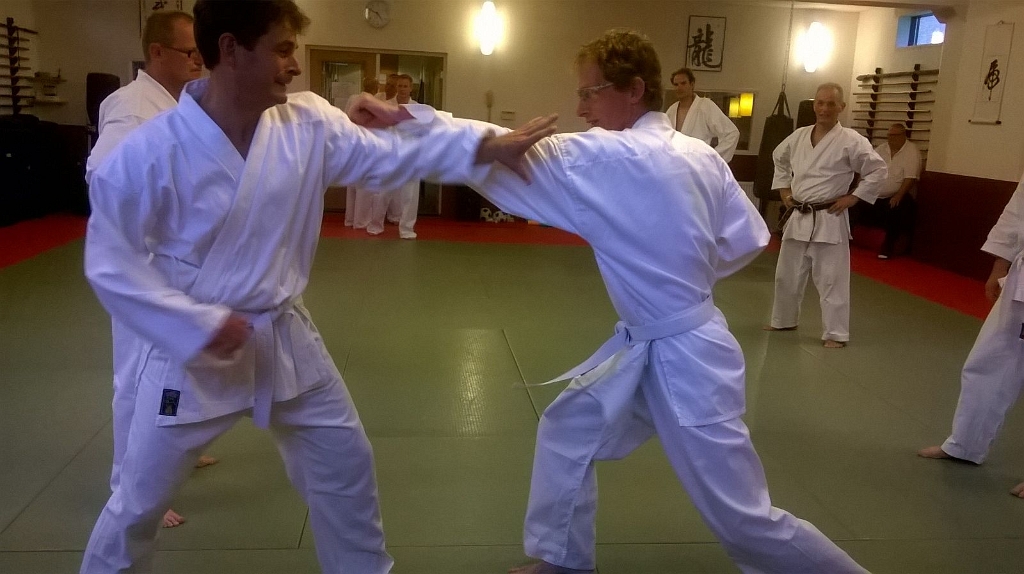 IMG_2931.JPG - Marc the karate kid strikes again!