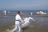 DSC02984