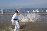 DSC02985