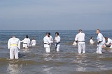 DSC02986