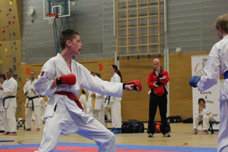 Vanen3_3